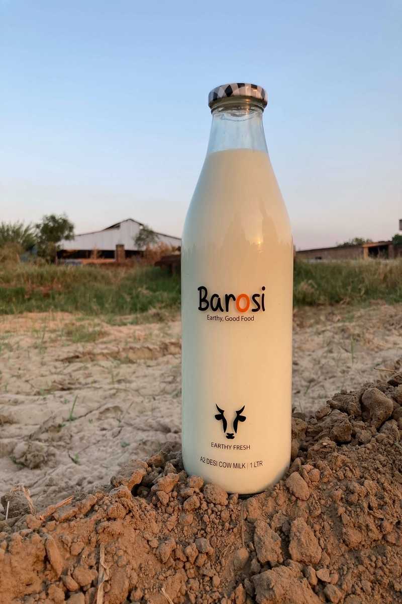 A2 Cow Milk and its benefits